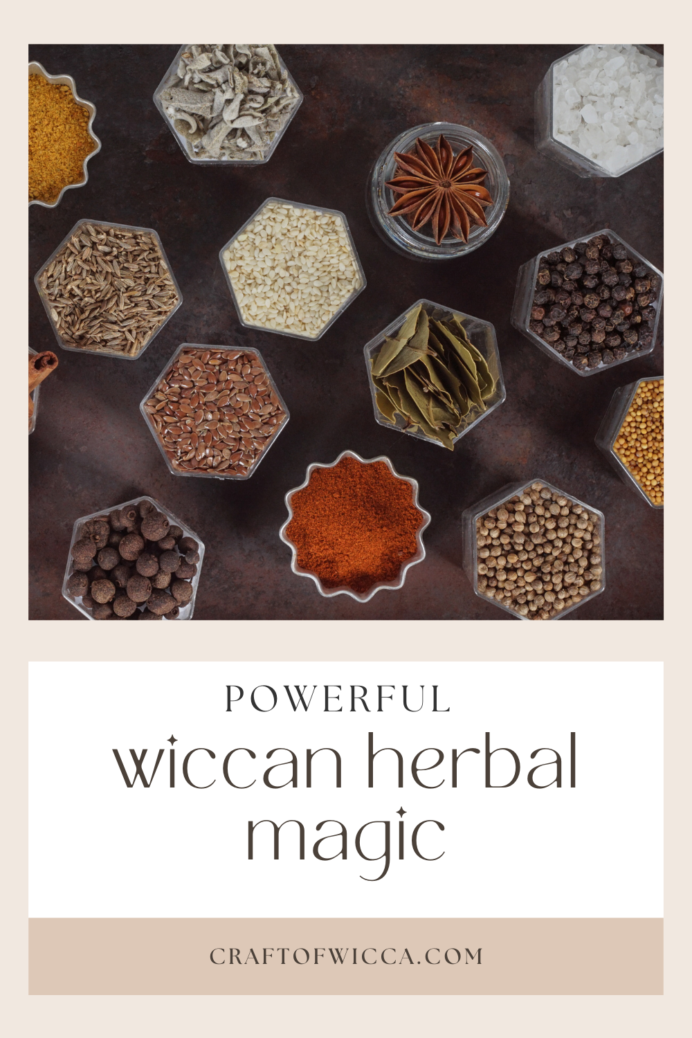 Powerful Wiccan Herbs And Herbal Magic For Beginners - Craft Of Wicca